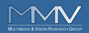 Multimedia and Vision Research Group